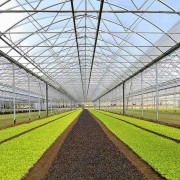 SERRE-AGRICOLTURA